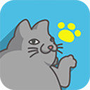 编程猫咪 免费版v1.0.5 无广告版