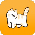 白猫追书v1.0.13官网版