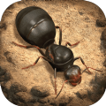 小小蚁国真实蚂蚁世界单机最新版 v1.41.0