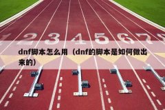 dnf脚本怎么用（dnf的脚本是如何做出来的）