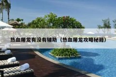 热血屠龙有没有辅助（热血屠龙攻略秘籍）