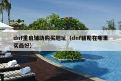 dnf重启辅助购买地址（dnf辅助在哪里买最好）