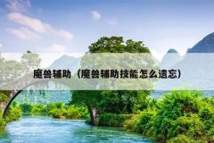 魔兽辅助（魔兽辅助技能怎么遗忘）