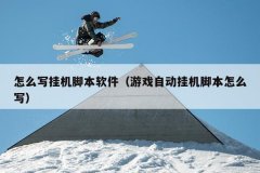 怎么写挂机脚本软件（游戏自动挂机脚本怎么写）